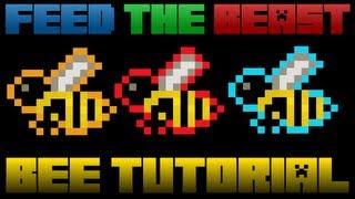 Minecraft Mods Bees Tutorial From Start To Automation Modded FTB Forestry