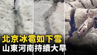 北京冰雹如下雪 地面積冰一尺多深！山東河南持續大旱 農作物枯死 糧食恐面臨危機！｜ #人民報