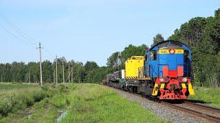 TEM2-3276 with a maintenance train  ТЭМ2-3276 с хозяйственным поездом