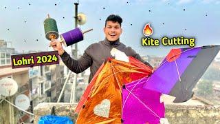 Kite Cutting on Lohri 2024  Kite Flying Festival  Kites Vlog 