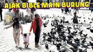 BIBLE SUKA BANGET LIAT BURUNG .. Happy Banget Liatnya ..