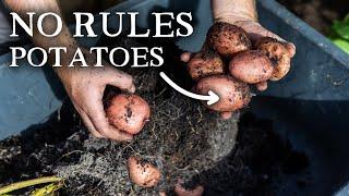 Unconventional Potato Growing Advice You Need to Hear