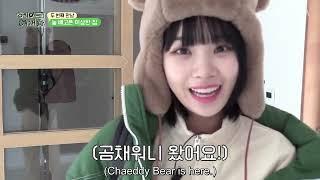 The Chaeddy bear is here