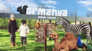 Ormanya Hayvanat Bahçesini Gezdik - Eğlenceli çocuk videosu
