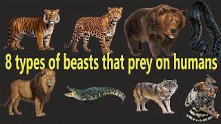 8 types of beasts that prey on humans