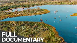 Amazing Quest Stories from Botswana  Somewhere on Earth Botswana  Free Documentary