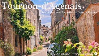 Tournon dAgenais a charming bastide village with flowers  Most beautiful villages in France  cat