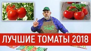 Лучшие томаты на 2018 год Обзор.