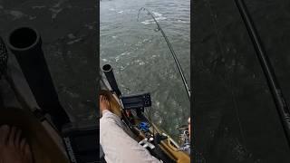 Hooked Into This Big Fish in The Middle of Crazy Boat Traffic