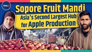 Sopore Fruit Mandi A Glimpse into the 3000 Crore Annual Business Hub of North Kashmir  Business