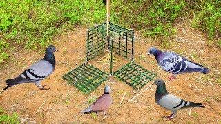 Best Bird Trap - Building fantastic Bird Trap technology using Bamboo