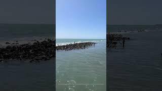 Beach Views at La Spiaggetta Free Beach Italy