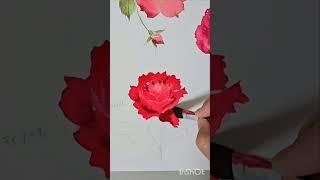 Tutorial of watercolor No.4Tiamo水彩で薔薇を描くNo.4ティアーモ#watercolor #rose #水彩 #薔薇