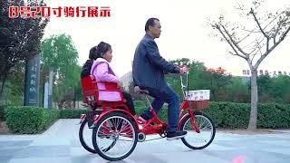 20 Inch Three Wheel Bike Adult Trike Tricycle Bicycle Basikal Sport Cycling Riding 自行成老人三轮车 HK1-1678