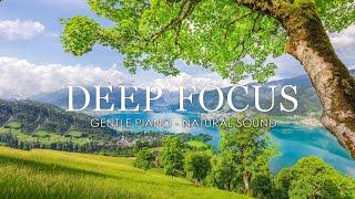 Ambient Study Music To Concentrate - Music for Studying Concentration and Memory Study Music