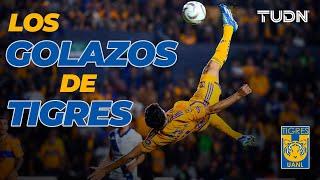 ¡MUCHA CLASE ¡LOS GOLAZOS DE TIGRES EN EL APERTURA 2023  TUDN