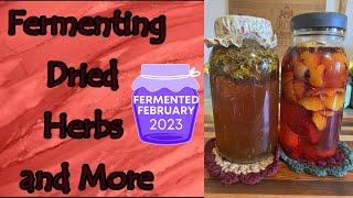 Fermenting Dried Foods and More #fermentedfebruary2023