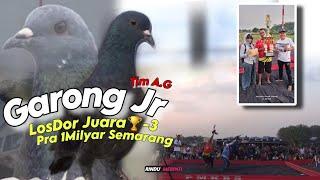 Edisi Garong JR Tim A.G Tampil Gila...Dapat Juara  ke-3 Pra 1Milyar Kolong Jkk Semarang