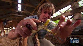 Austin Stevens - Snakemaster - Valley of Snakes - Part 1