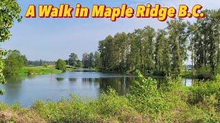 Leaving Vancouver island and going for a walk in Maple Ridge B.C.