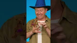 This Little Joey with Joel - #kidsvideos #kidsstories