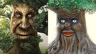 Fake VS Reality Wise Mystical Tree