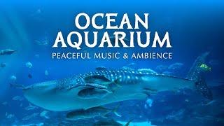  Ocean Aquarium  Underwater Ambience with Peaceful Music for Study Sleep and Relaxing