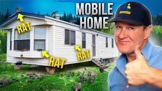 Dont Fall for These Myths Real Solutions for Rat Problems in Mobile Homes