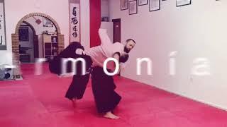 Aikido A.c.a.e Huelva Aikido Spot. Irimi Nage