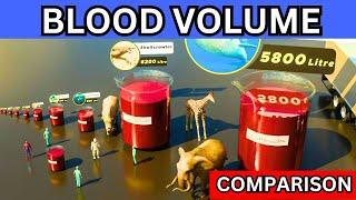 3D Blood Size Comparison  Comparison of Blood Size #blood #3dcomparison #bloodsizecomparison