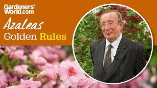 Caring for azaleas  Golden Rules