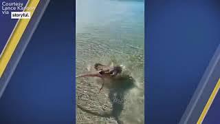 Angry octopus attacks man who filmed it at popular snorkeling spot in Australia  ABC7