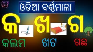 Odia Barnamala  Odia ABCD  Odia Alphabets  ଓଡିଆ ବର୍ଣ୍ଣମାଲା  ka kha ga gha  Barnabodha #sasufun