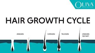 Natural Hair Growth Cycle Explainer Video On Anagen Catagen & Telogen Phases