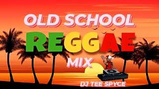 Old School Reggae Juggling  Sanchez Frankie Paul Garnett Silk Freddie McGregor Reggae Mix 2024