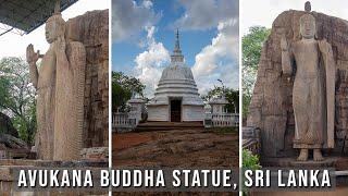 Avukana Buddha statue Sri Lanka.  4K   Travel Video  Travel Guide  SKY Travel
