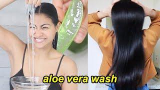 My ALOE VERA HAIR WASH ROUTINE  How to apply aloe vera gel in the shower