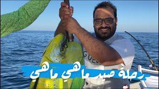 sursw#رحلة_صيد_ماهي_ماهي #صيد #حداق #fishing#fish رحلة صيد ماهي ماهي  سلطنة عمان  راس الحد