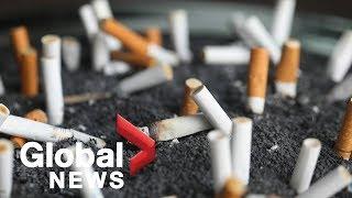 New study says ex-smokers lungs can heal