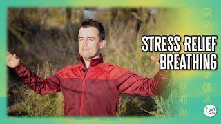 Breathing for Stress Relief  Body & Brain Under 10 Minute Routines