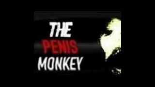 The Penis Monkey  Creepypasta Reading