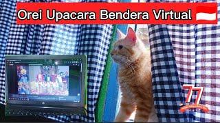 Kucing Oren Ikut Upacara Bendera Virtual  @kucing mampir