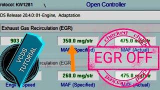 VCDS - EGR Delete