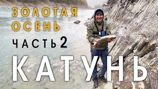 Рыбалка на Катуни среди золотых гор. Осень 2021. Часть 2. Крупный ленок и таймень
