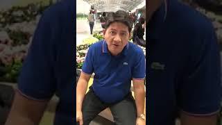 Larry Gadon To Imee Marcos Diploma