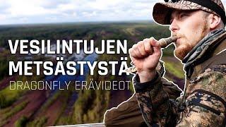 VESILINTUJEN METSÄSTYSTÄ 2018  Dragonfly Erävideot