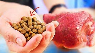 HOW TO PREPARE DRY FOOD? Food for dogs and cats