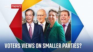 General Election 2024 What do voters think about the manifestos of the smaller parties?