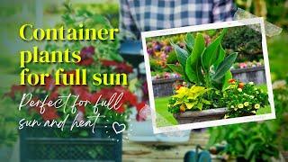 Container plants for full sun   These Stunning Container Plants Can Take the Heat 