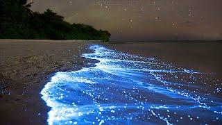 Sea of Stars - Vaadhoo Island Maldives